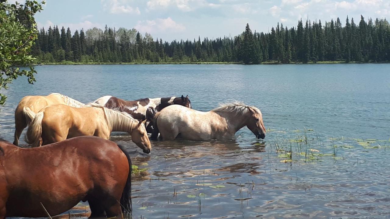 Bed and Breakfast Wettstone Guest Ranch à Bridge Lake Extérieur photo